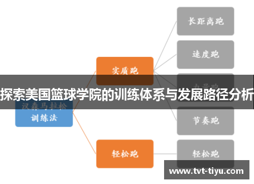 探索美国篮球学院的训练体系与发展路径分析