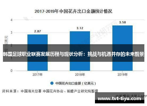 韩国足球职业联赛发展历程与现状分析：挑战与机遇并存的未来前景